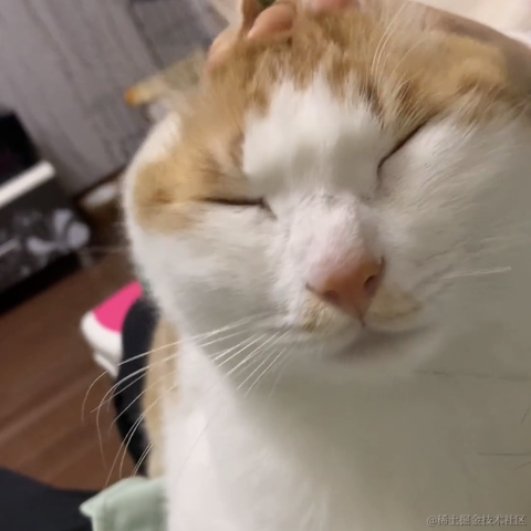 已注销于2021-12-31 08:32发布的图片