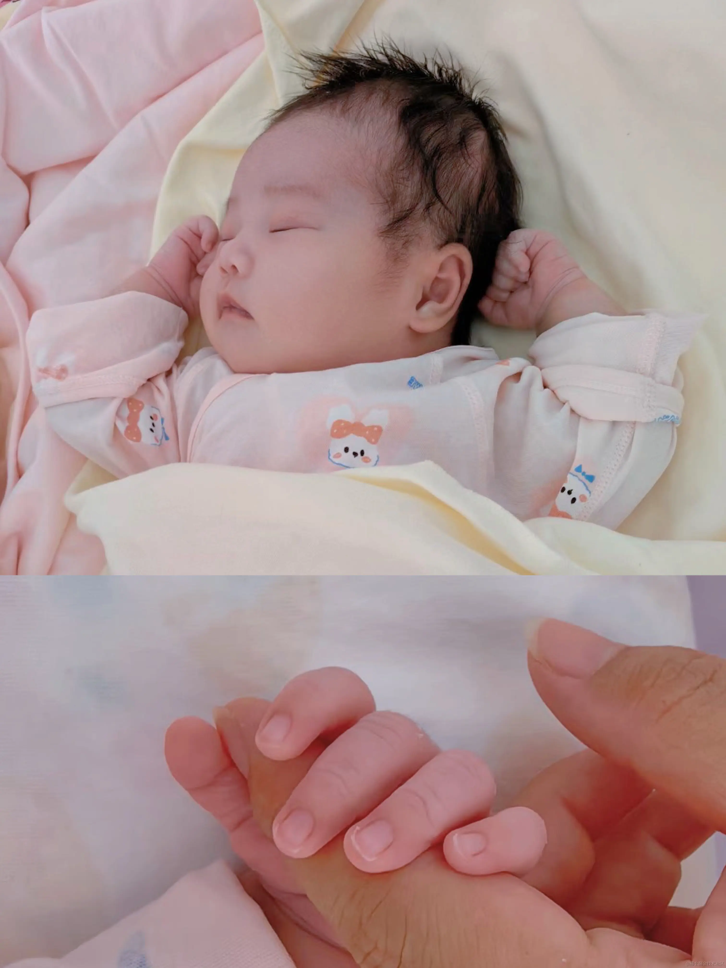 图片说明转存失败，建议直接上传图片文件