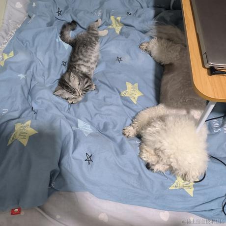 宣春不饿于2022-11-22 09:07发布的图片