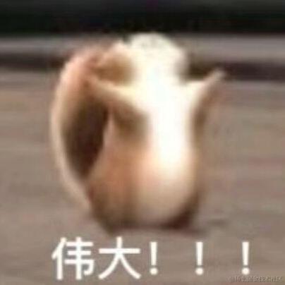 耶耶_于2023-03-29 21:07发布的图片