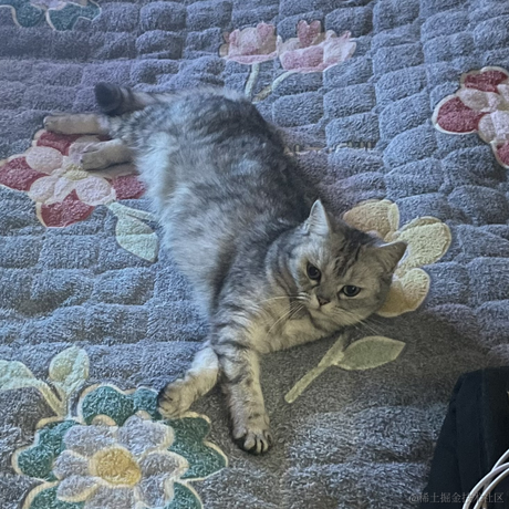 heronCCC于2023-05-25 08:50发布的图片