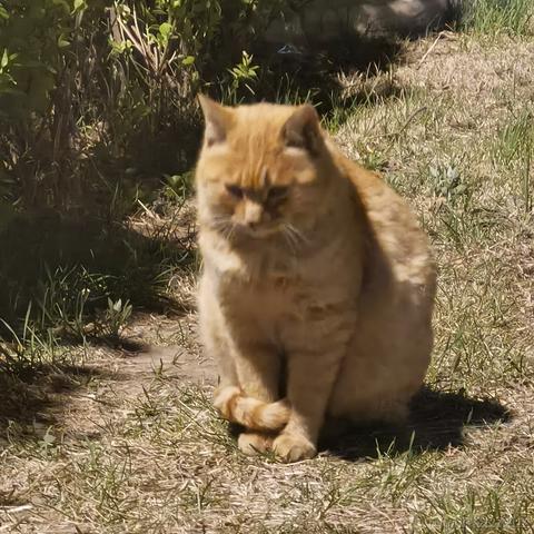 我已经很乖了于2023-04-14 23:39发布的图片