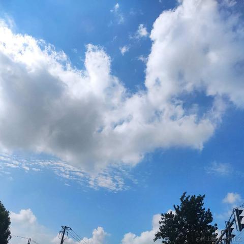 sunshinehh于2021-07-21 12:52发布的图片