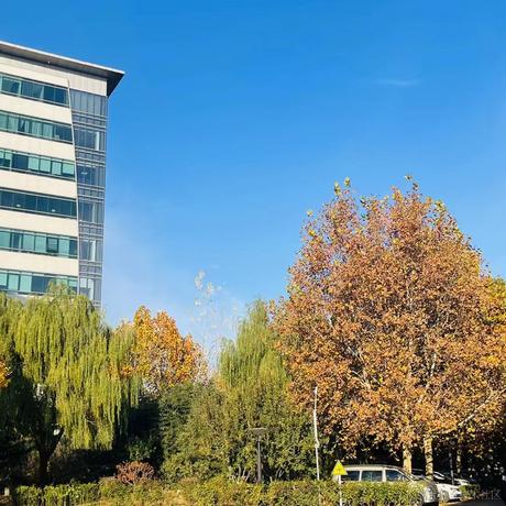 好耶仔仔棒于2022-11-16 09:22发布的图片