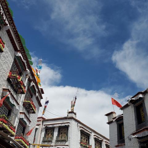 没有哆啦的A梦于2023-03-13 10:06发布的图片