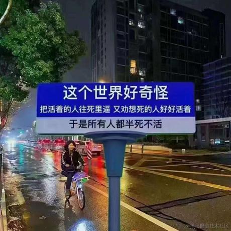 mortimer于2023-12-11 13:19发布的图片