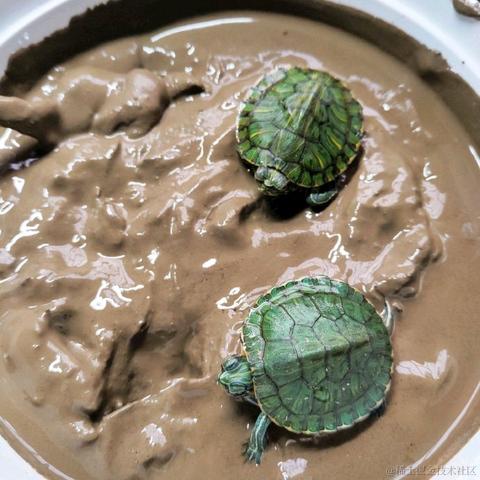 掘金老默于2020-11-02 11:40发布的图片