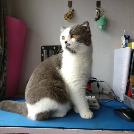 超级小软于2021-10-31 12:46发布的图片