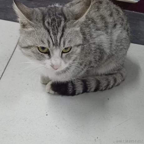 葳蕤繁祉于2022-12-23 19:50发布的图片