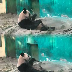 嗳掘金嗳萝莉于2023-05-16 10:58发布的图片