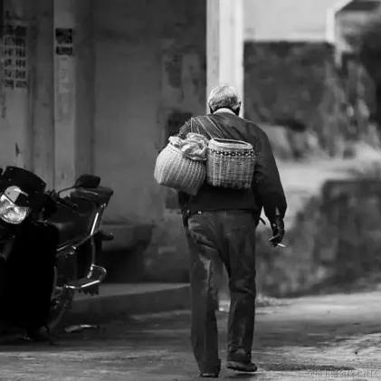 凉城a于2021-06-18 12:16发布的图片