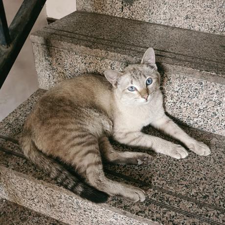 四月一日君寻于2023-07-01 13:36发布的图片