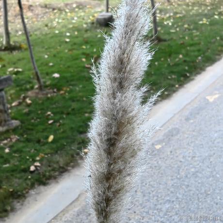 xy439于2022-11-20 23:38发布的图片