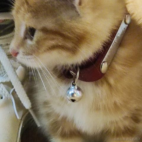 糯香香普洱于2022-11-27 10:40发布的图片