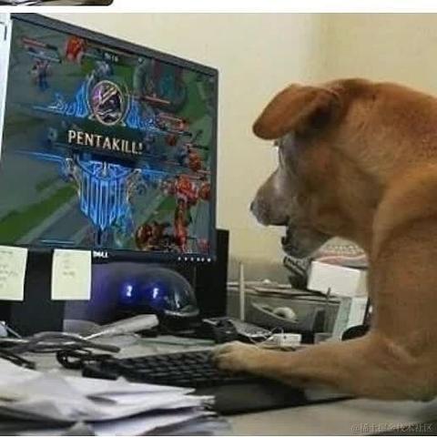 尼古拉斯阿柴于2023-06-01 21:44发布的图片