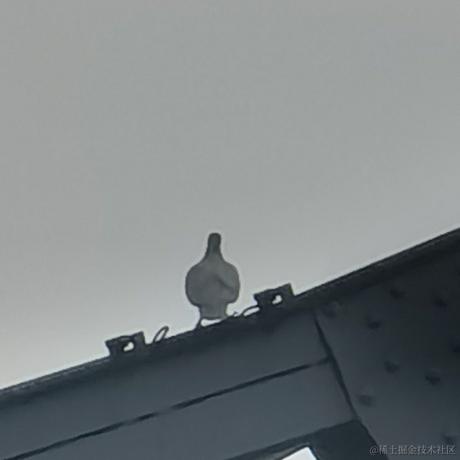 戴安娜小姐的狗于2023-06-25 17:42发布的图片