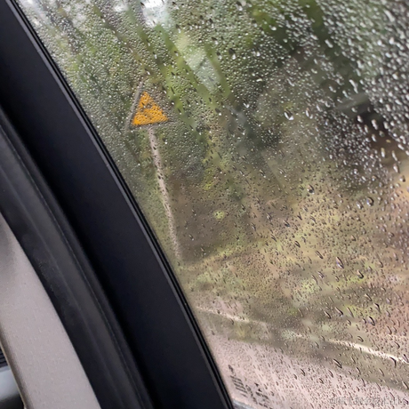 烂盆栽于2022-12-11 09:33发布的图片