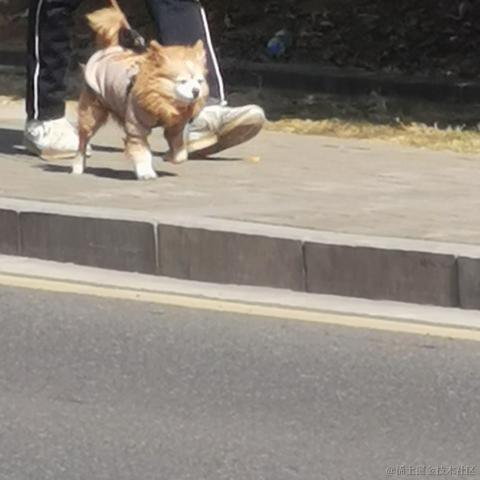 干饭阿澄于2023-04-12 16:37发布的图片