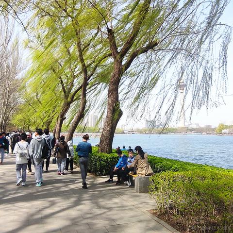 AI浩于2022-04-07 07:36发布的图片