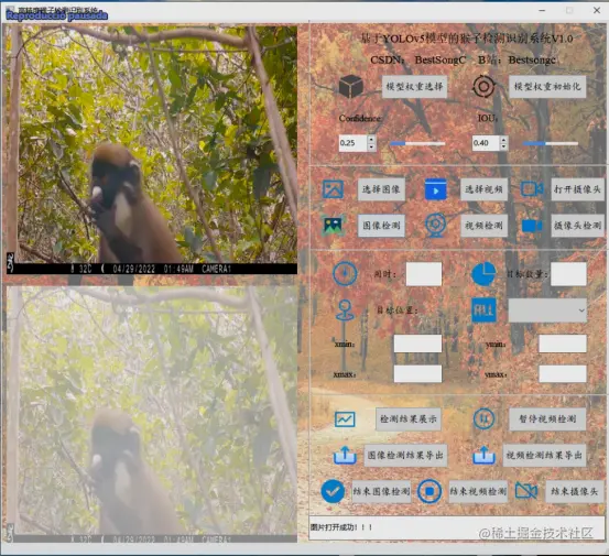 高精度猴子检测识别系统2059.png