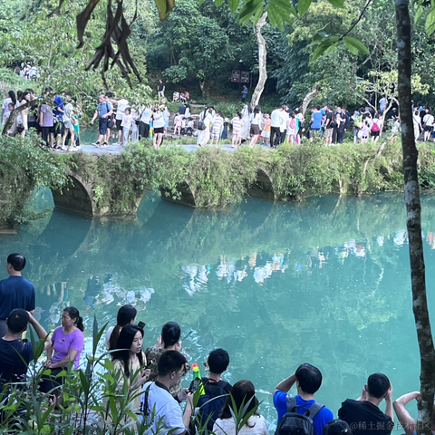 草莓酱于2023-08-17 11:21发布的图片