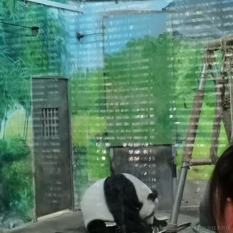 乃贝赢于2022-11-28 13:09发布的图片