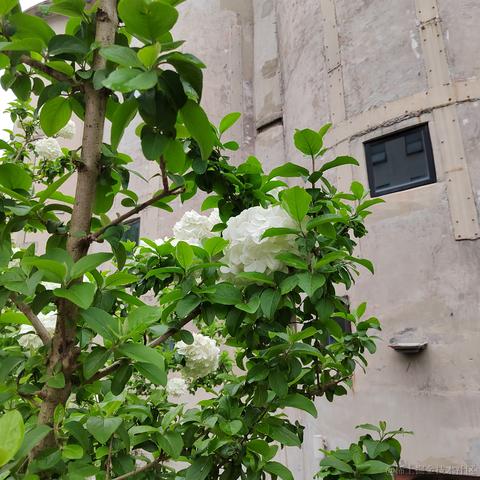Sarah_于2024-05-28 08:54发布的图片
