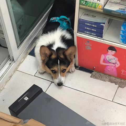 知_足于2024-06-18 10:22发布的图片