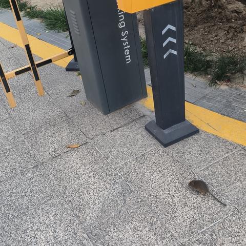 剑走翩风于2022-11-26 12:49发布的图片