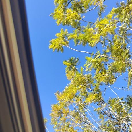 乃琳困困困于2022-11-30 23:07发布的图片