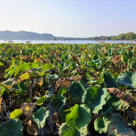 铸币小向晚于2023-06-21 07:06发布的图片