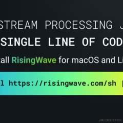RisingWave中文开源社区于2024-07-01 21:16发布的图片