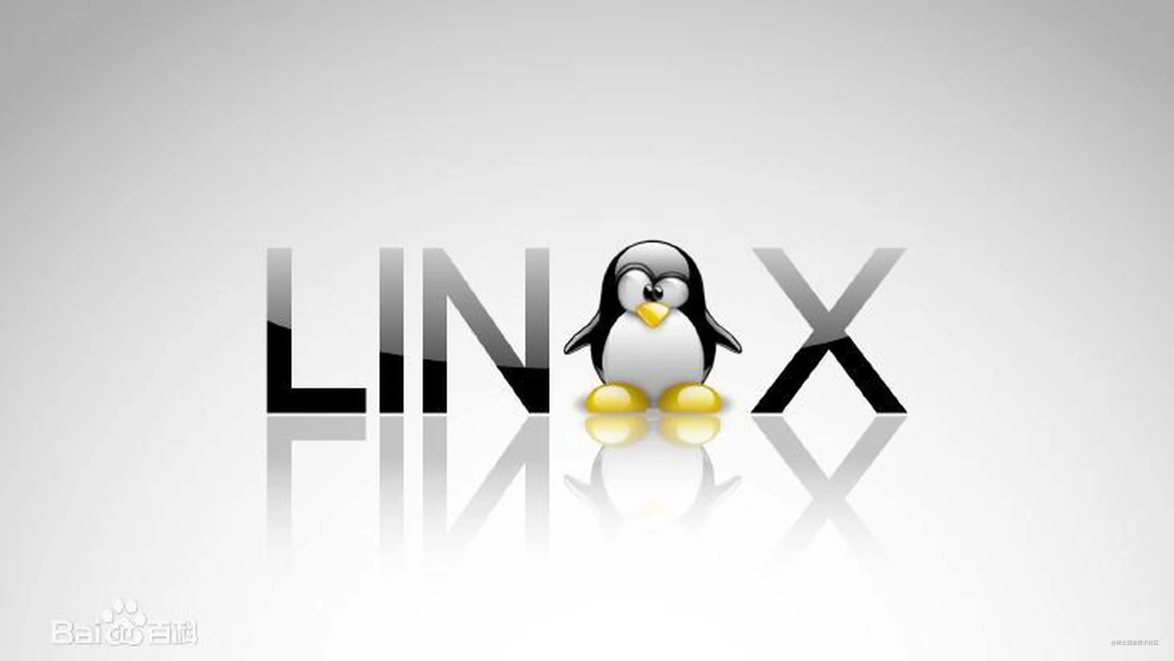 Linux之shell编程篇 Shell运算符 掘金