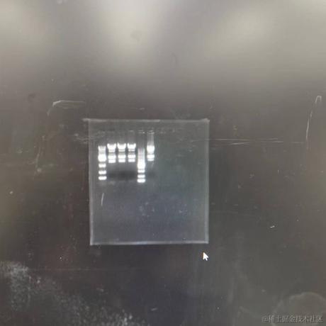 墨璃人于2022-12-01 23:04发布的图片