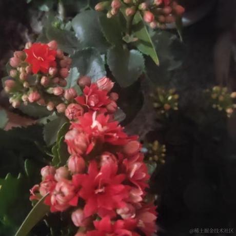 晓祄于2023-01-23 13:30发布的图片