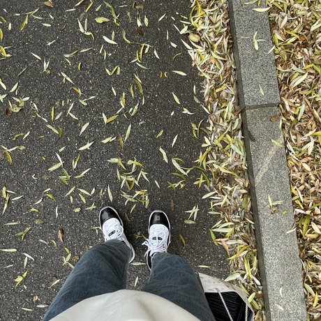 tp于2022-11-13 01:58发布的图片