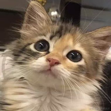 清欢爱蹦跶于2022-06-22 16:53发布的图片