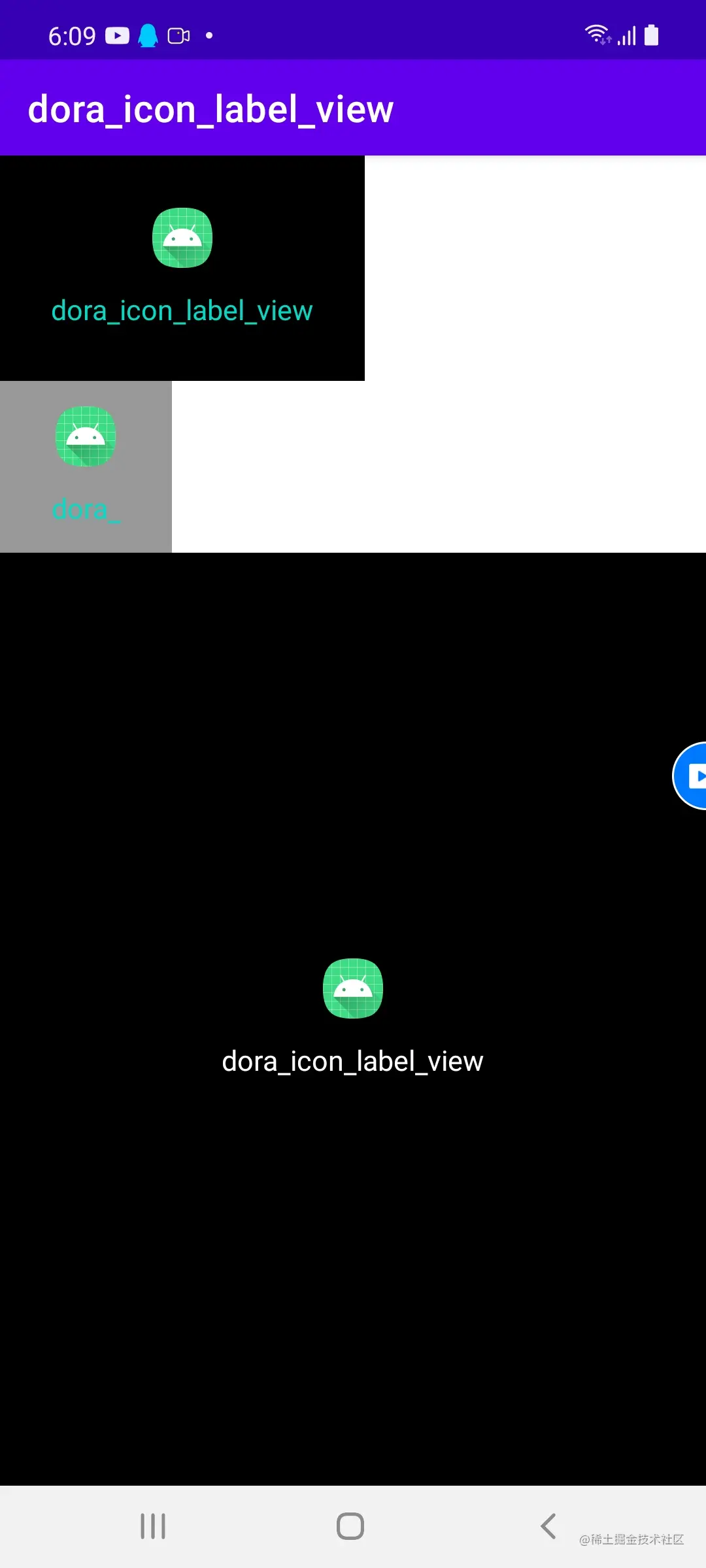 dora_icon_label_view.jpg