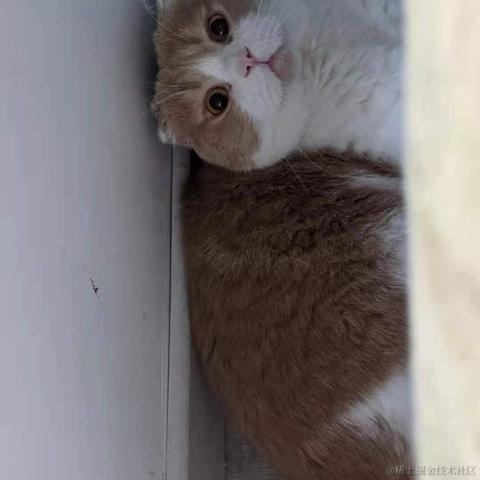 已注销于2021-04-21 08:44发布的图片