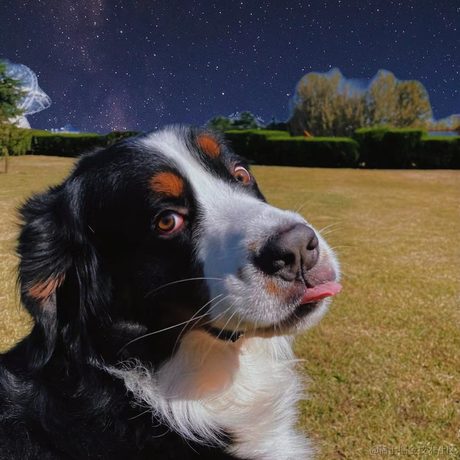 阿怪没有脑袋于2022-02-18 09:24发布的图片