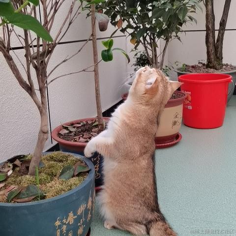 高彬滔于2023-05-16 21:22发布的图片